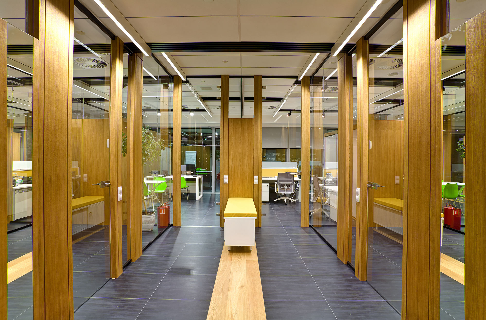 Фото Стеклянные двери (цельностеклянные)