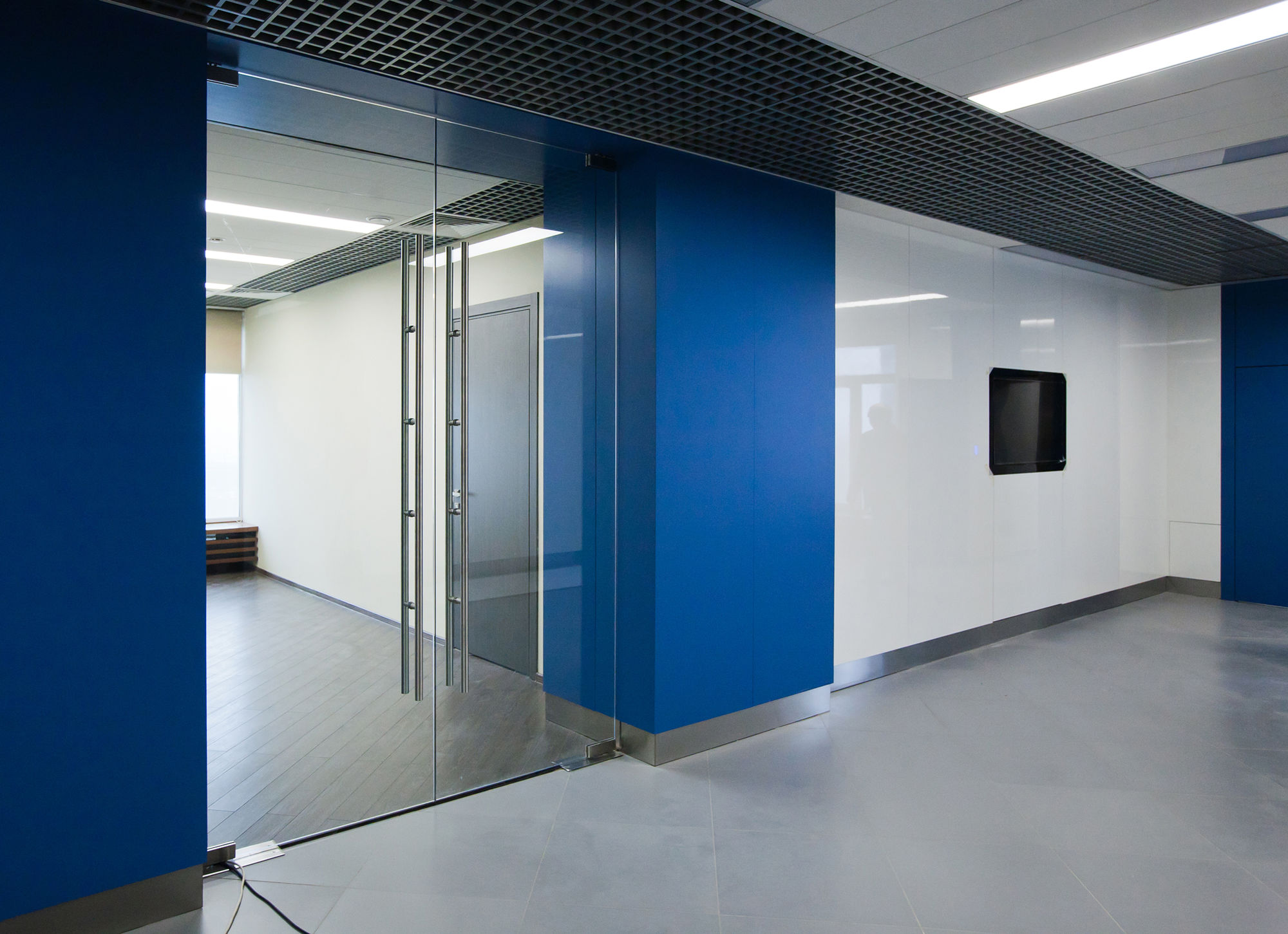 Фото Стеклянные двери (цельностеклянные)