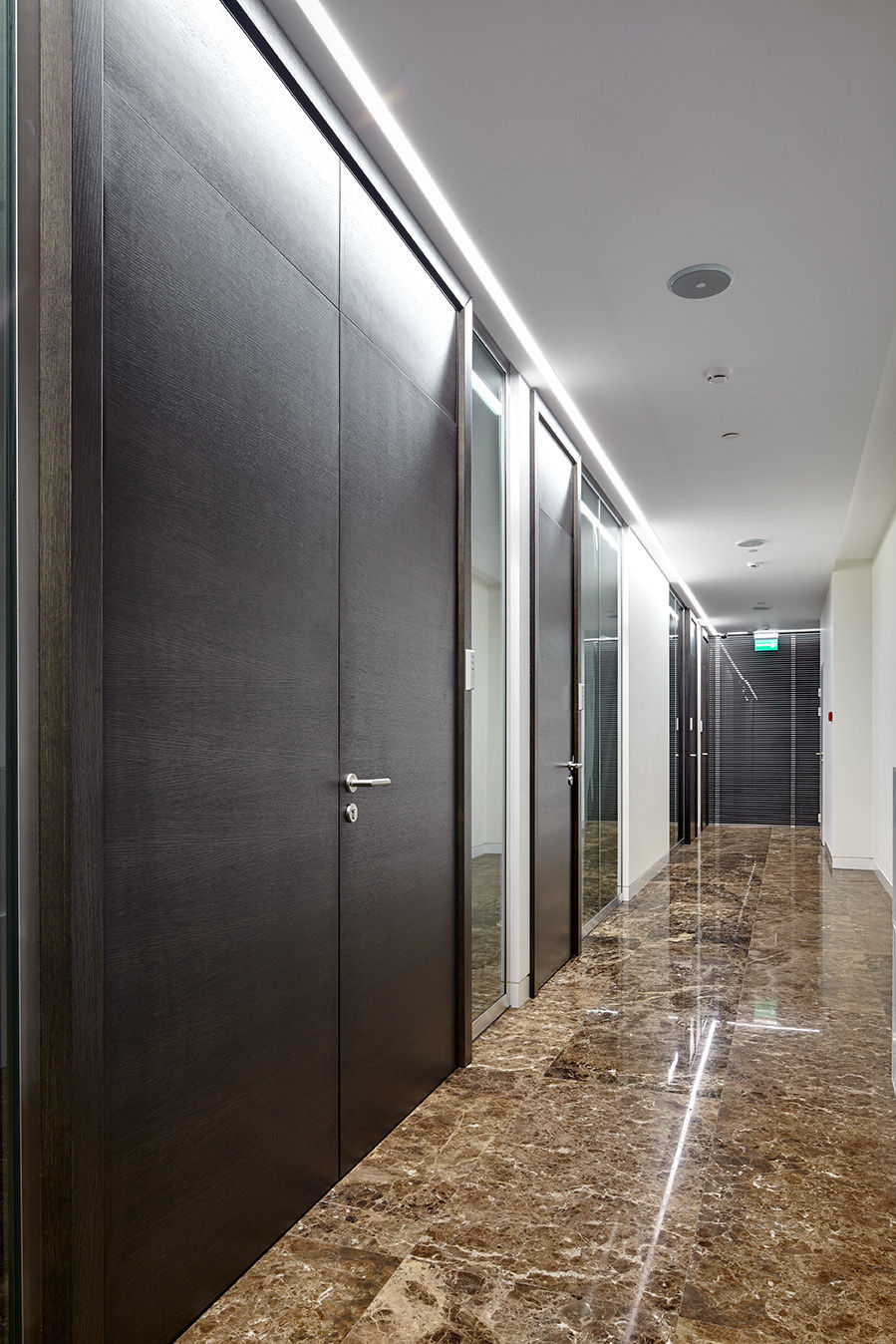 Фото Шпонированные двери Regina