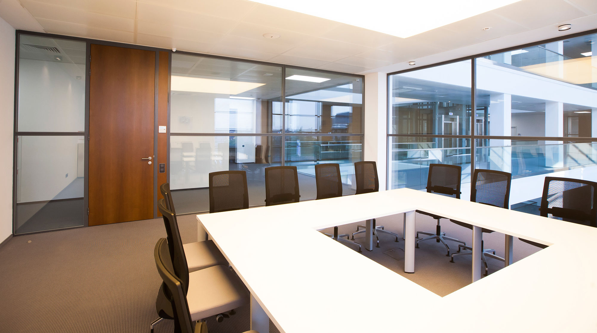 Фото Шпонированные двери Regina