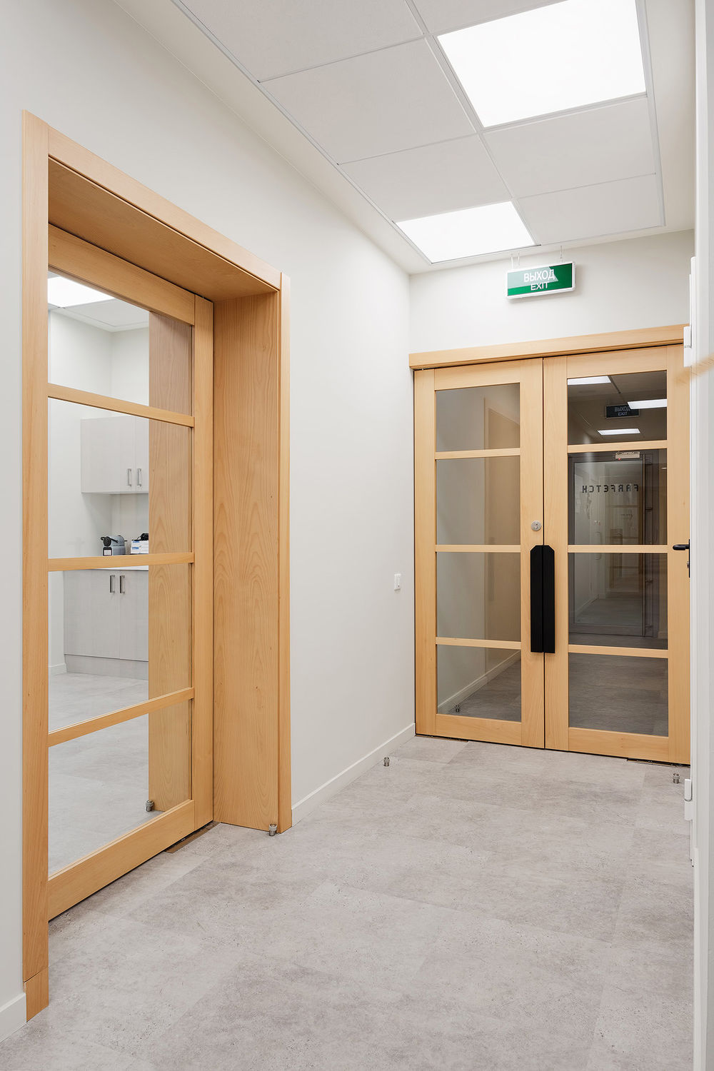 Фото Шпонированные двери Regina