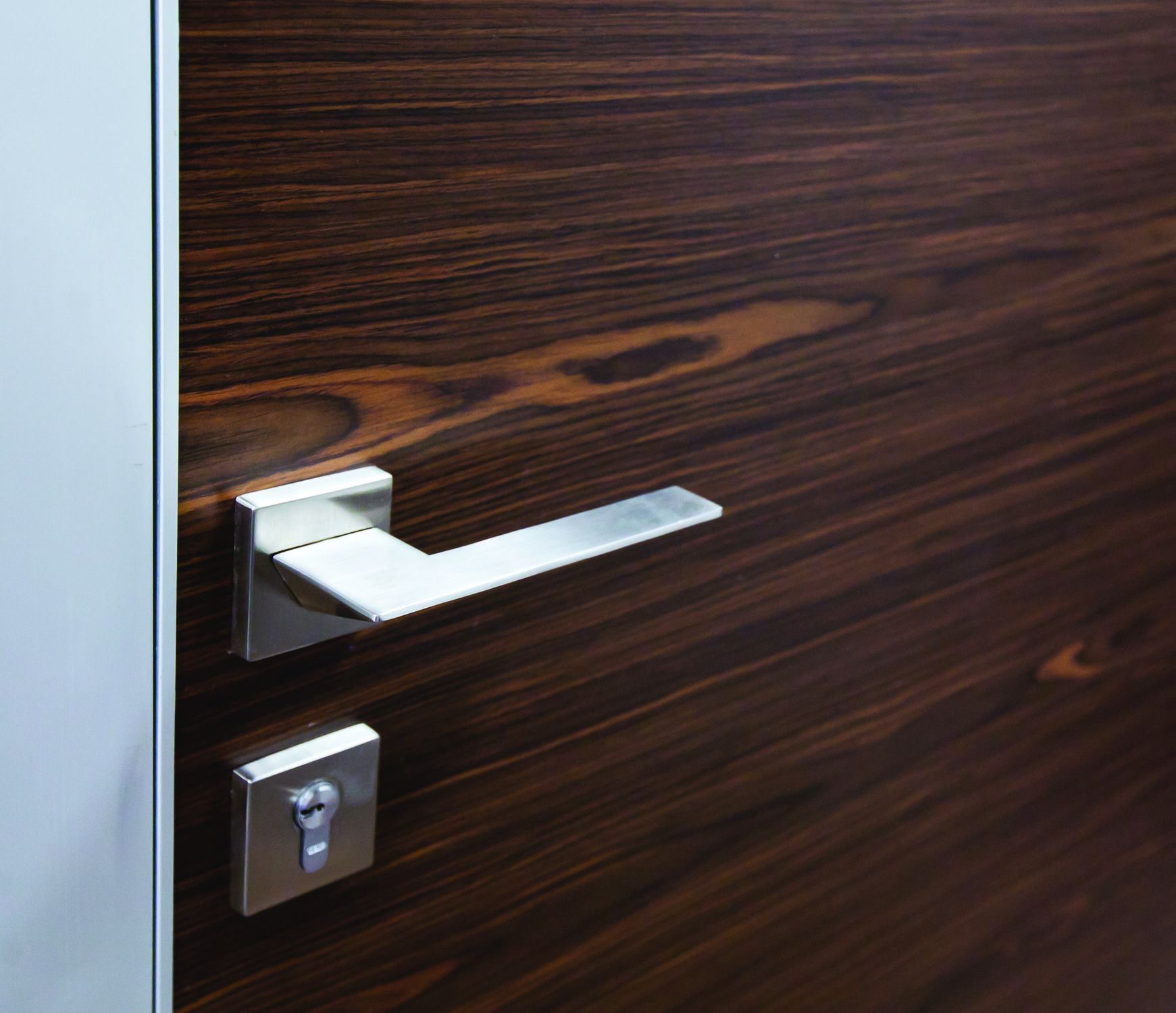 Фото Дверь в шпоне VENEER