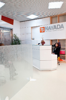 Цельностеклянный мобильный экран Crystal