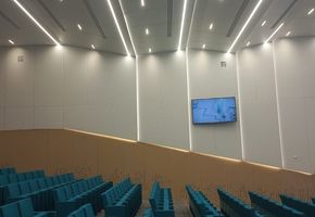 Облицовка панелями NAYADA-Regina в проекте Обшивка потолков и стен в конференц-зале