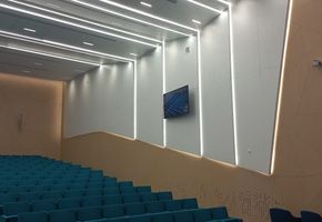 Облицовка панелями NAYADA-Regina в проекте Обшивка потолков и стен в конференц-зале