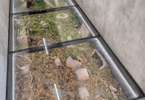 Облицовка стеклом в проекте Монтаж продукции NAYADA во Дворце творчества и спорта «Пионер»